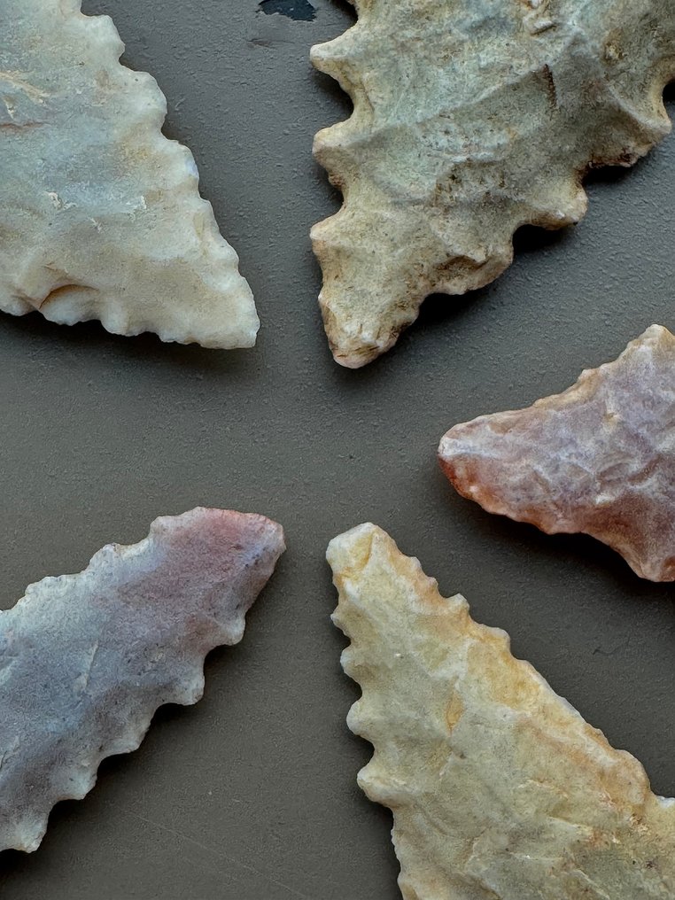 Sahara Selce Punta di freccia - 41 mm  (Senza Prezzo di Riserva) #1.0