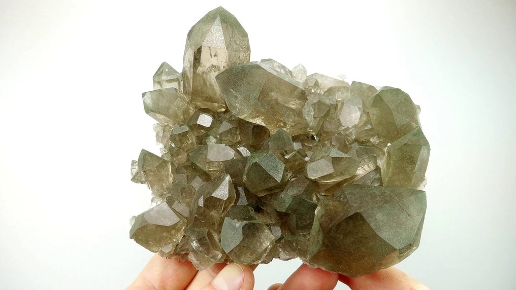 Smoky quartz - 大理石针峰,勃朗峰,法国 - 高度: 12.5 cm - 闊度: 11 cm- 460 g #2.1