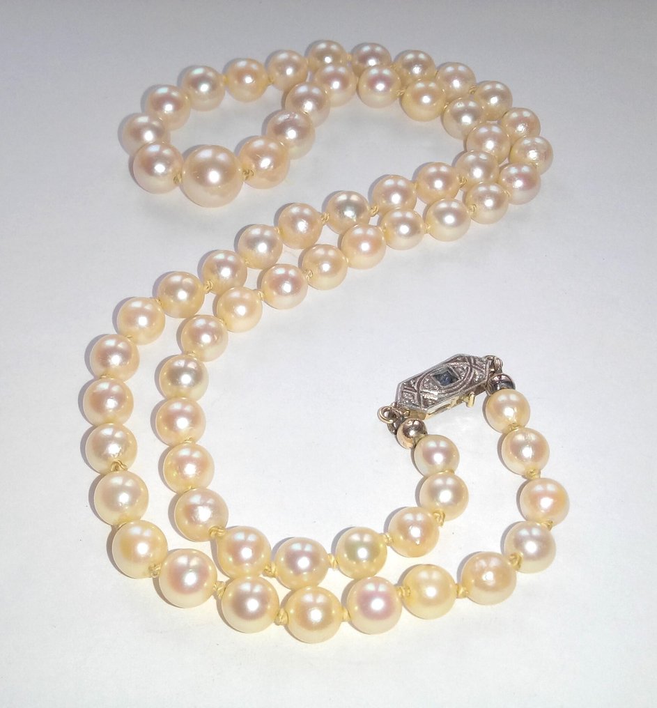 Κολιέ 18 καρατίων λευκόχρυσο / κίτρινο χρυσό - Ακογιάπερλεν - σάπιρ #2.1