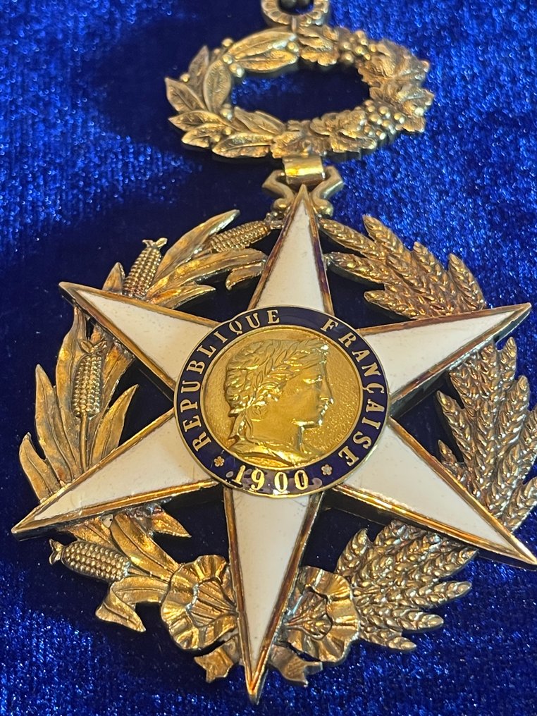Franciaország. Case with medals The French Order of Agricultural Merit #4.3