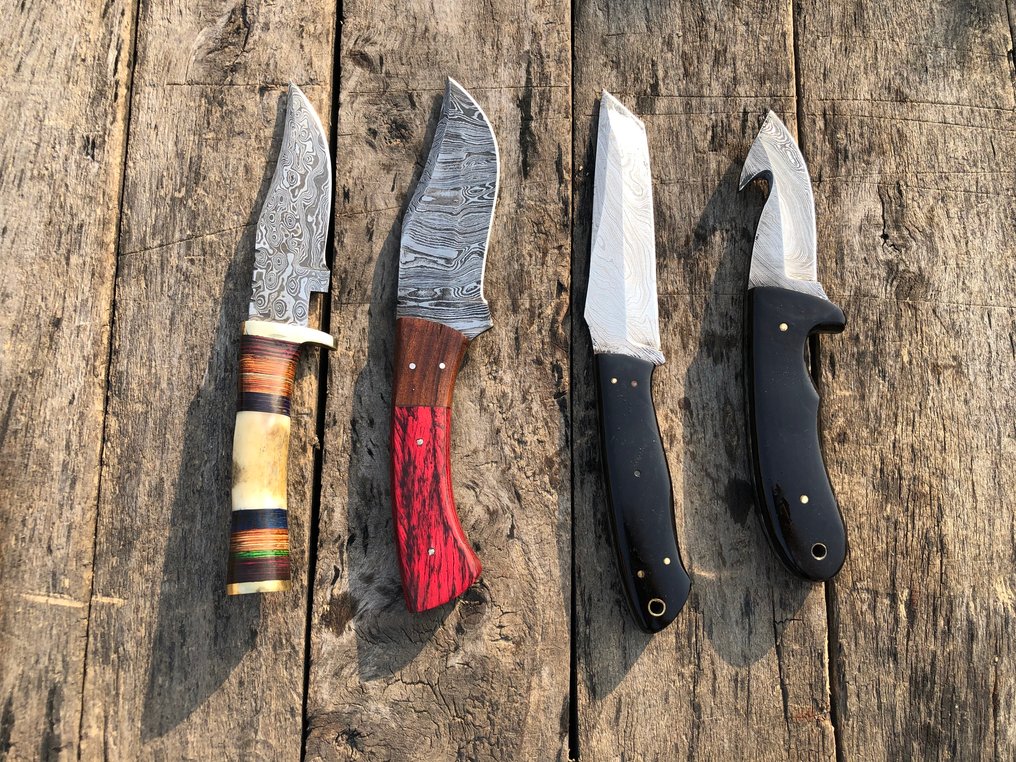 Coltello da cucina - Coltelli Prestigiosi fatti a mano Skinners, acciaio forgiato, corno di cervo, legno e impugnature - Nord America - Custodia in cuoio A14 #3.2