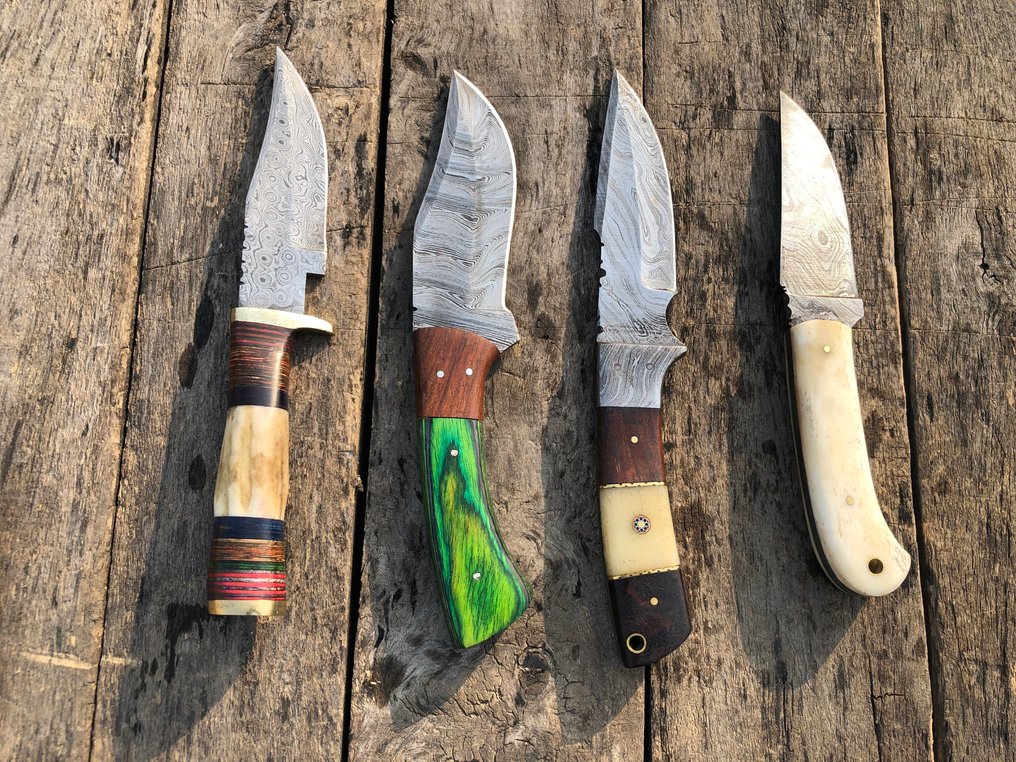 Coltello da cucina - Coltelli Prestigiosi fatti a mano Skinners, acciaio forgiato, corno di cervo, legno e impugnature - Nord America - Fodero in pelle A18 #2.1