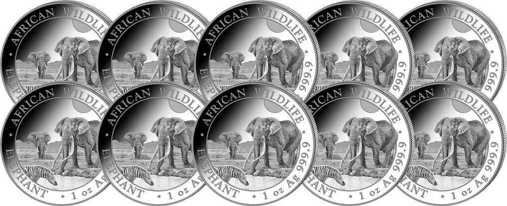 10 金衡制盎司 - 银 .999 - Elephant 2026 - 311 gram - fine silver #2.1