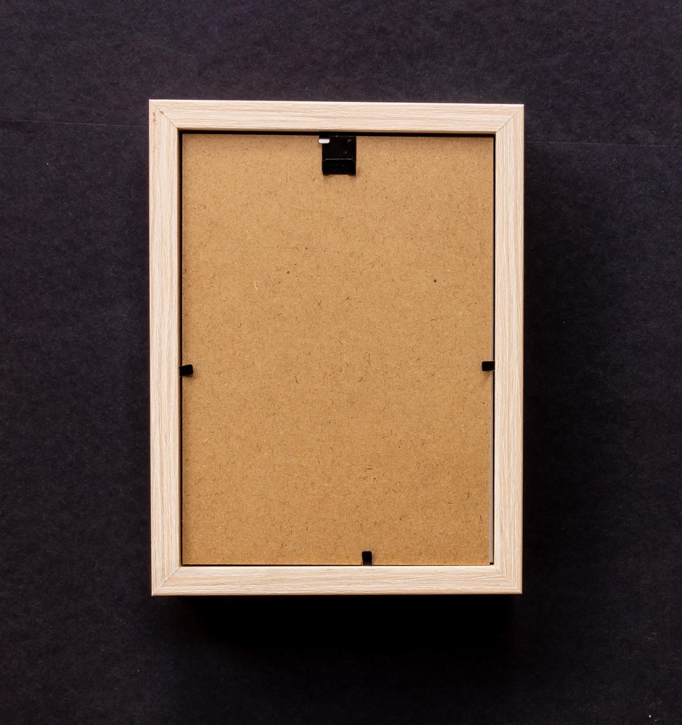 Έντομο Βάση ταρίχευσης ολόκληρου σώματος - Pyrops hamdjahi - 20.5 cm - 15 cm - 4 cm - Είδη που δεν ανήκουν στο CITES #3.2