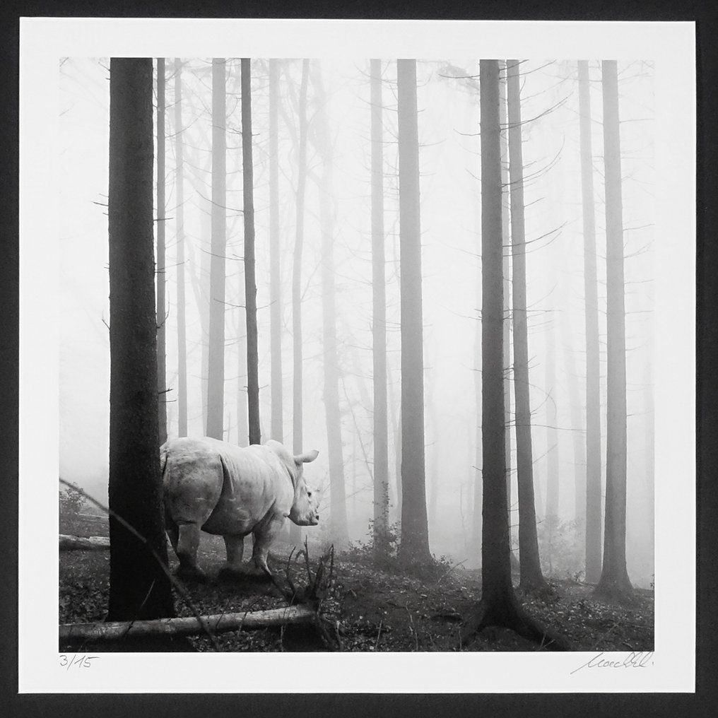 Frank Machalowski - tierwald #44 #1.0