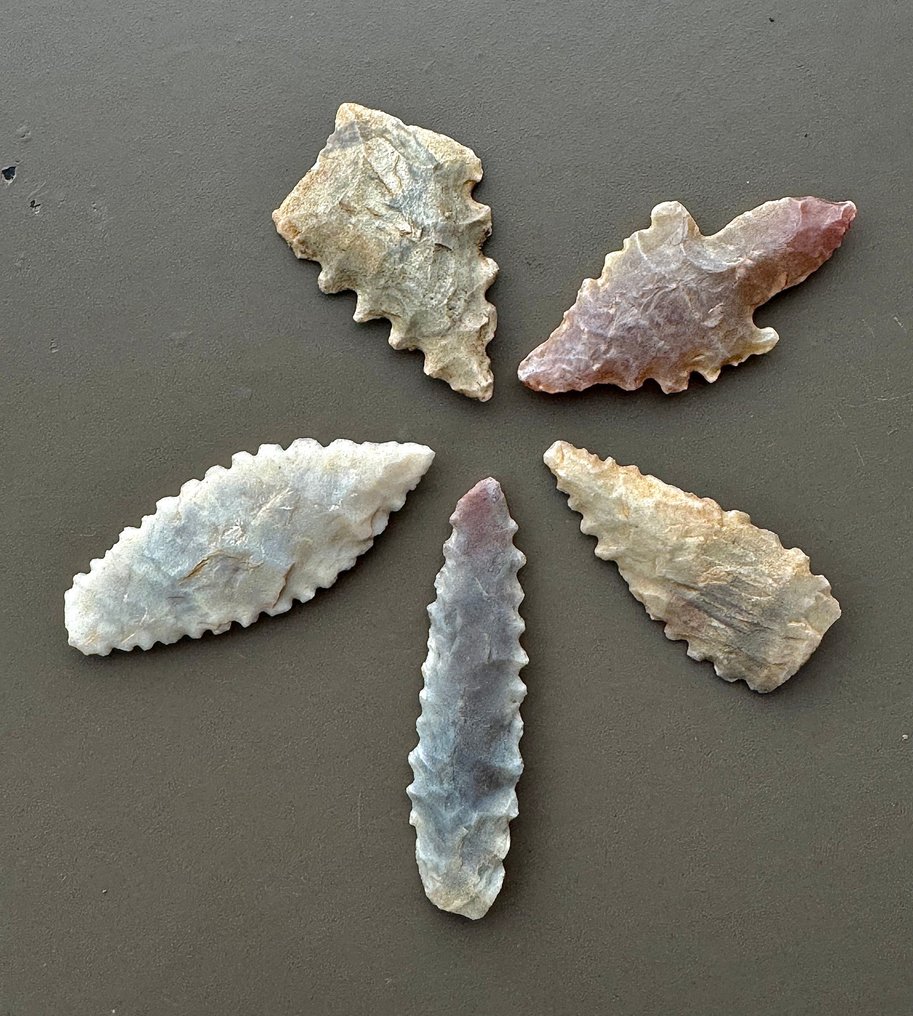 Sahara Selce Punta di freccia - 41 mm  (Senza Prezzo di Riserva) #1.0