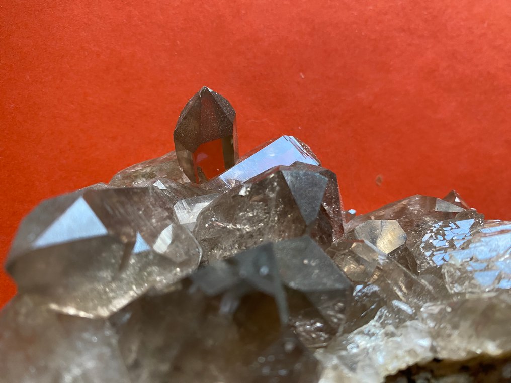 Καπνιστός χαλαζίας Κρύσταλλοι - Ύψος: 5.5 cm - Πλάτος: 11 cm- 400 g - (1) #2.1