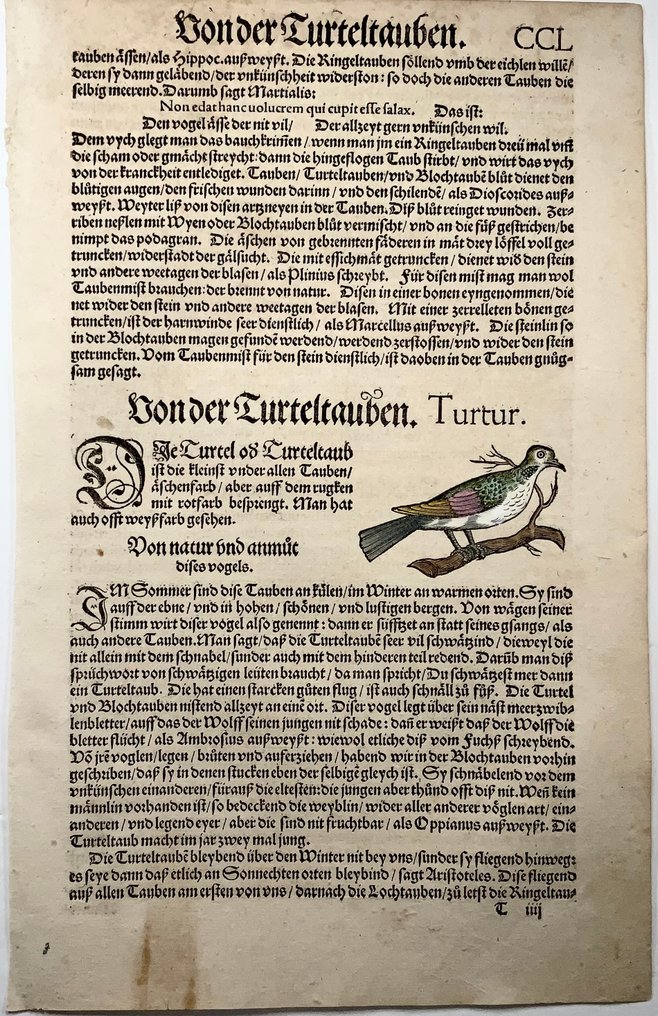 2 folios, Conrad Gesner [1516-1565], 2 woodcuts, Partridge, Turtle Dove, birds - 1557 #4.3