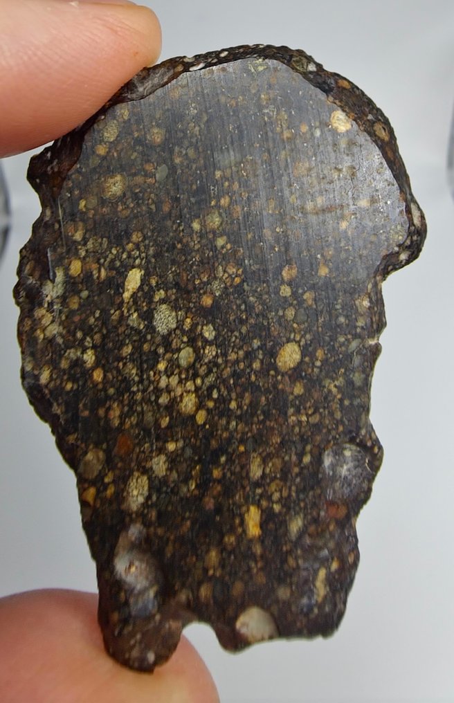 Meteoriet. LL3 type. NWA 17583, gewone chondriet. - 11.76 g #1.0