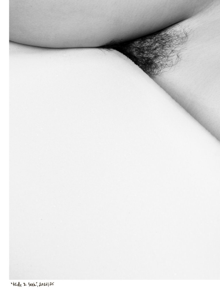 Nata Chebotareva (1972-) - Hide and Seek #4.3