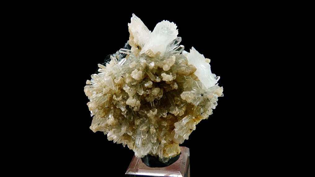 Καλλίτης 'καπέλα' με Δολίτη σε Κρύσταλλο και Σφαλερίτη. - Ορυχείο Μπάλντουτ, Cavnic, Maramureș, Καρπάθια, Ρουμανία - Ύψος: 6.3 cm - Πλάτος: 5.2 cm- 62 g #1.0