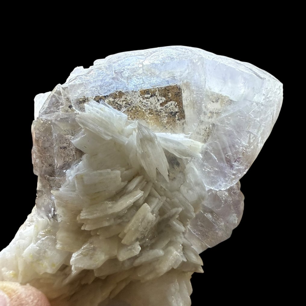 蓝色萤石与白云石的幻象 荧光，Paul Zerfass 系列 - 高度: 7 cm - 宽度: 4 cm- 150 g #2.1