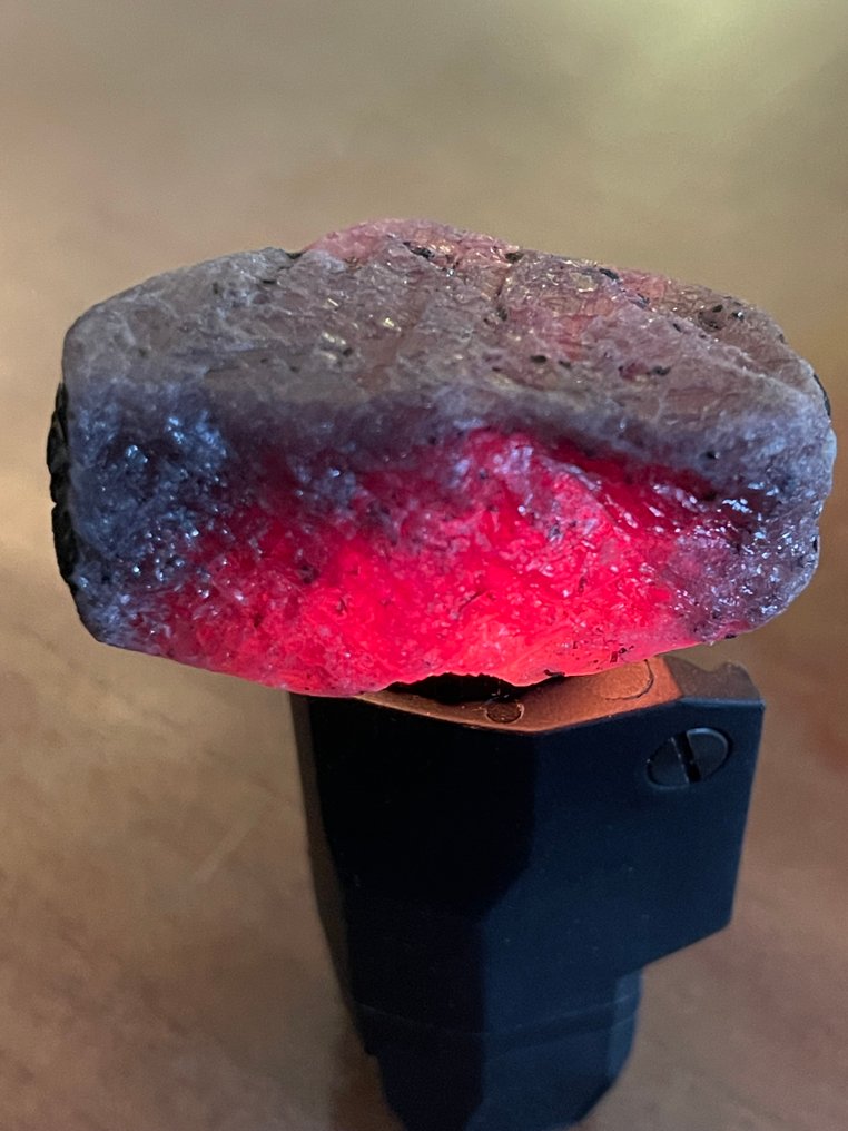 红宝石 真正的宝石！令人惊叹的353克拉莫桑比克巨大血红宝石。壮丽的水晶。天然，百分百特别。 - 高度: 48 mm - 宽度: 32 mm- 70.6 g #4.3