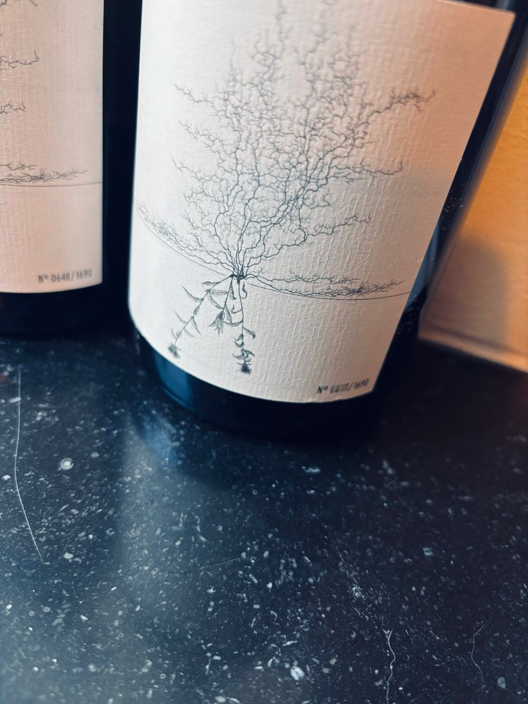 2020 Johannes Aufricht, Blanc de Blanc, Brut nature - konstanz - 2 Bouteilles (0,75 L) #2.1