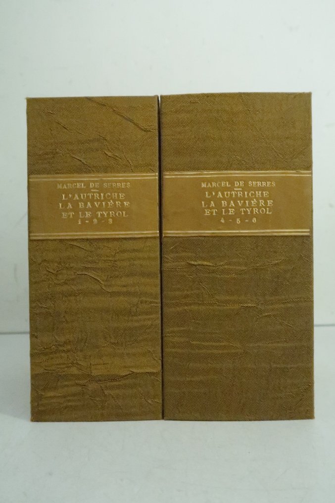[Costumes, Autriche] Marcel de Serres - L'Autriche, ou mœurs, usages et costumes des habitans de cet empire [48 planches] - 1821 #2.1