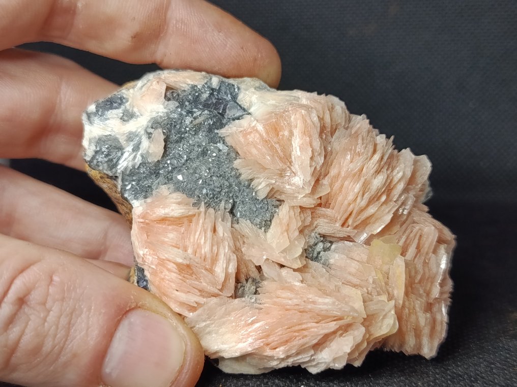 Cerussite on Galena and Baryte Crystals on matrix - Height: 3.9 cm - Width: 5.3 cm- 230 g - (1) #1.0