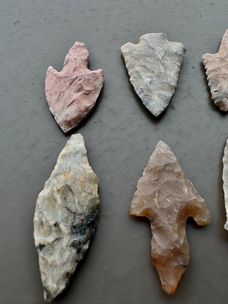 Sahara Selce Punta di freccia - 37 mm  (Senza Prezzo di Riserva) #2.1