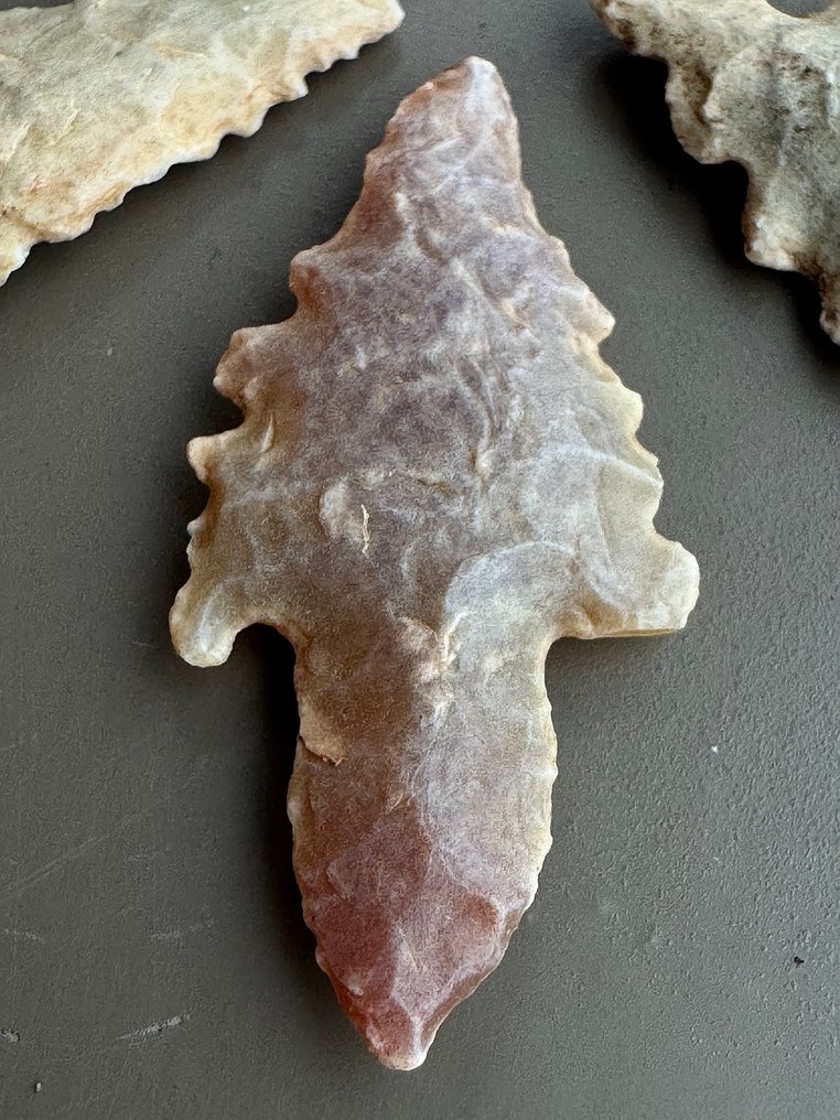 Sahara Selce Punta di freccia - 41 mm  (Senza Prezzo di Riserva) #3.2