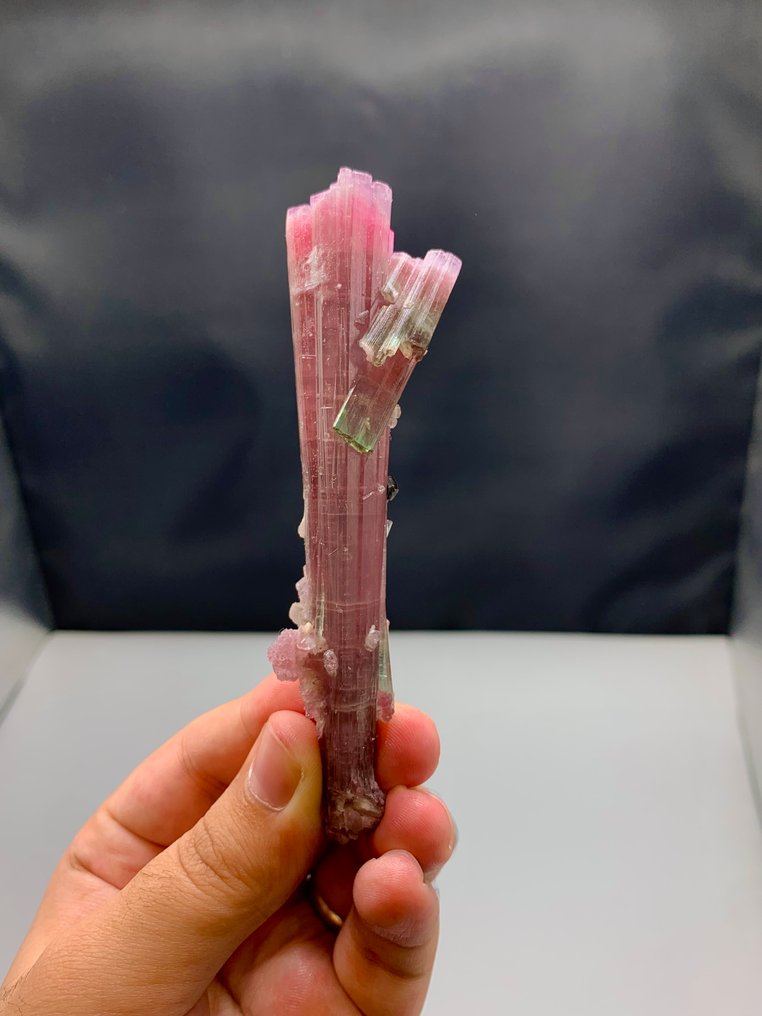 Tormalina Cristalli - Altezza: 120 mm - Larghezza: 30 mi- 49.38 g - (1) #4.3