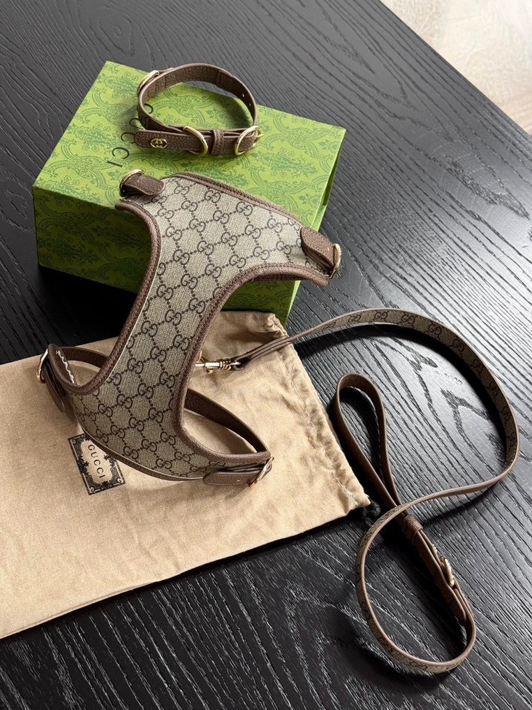 Gucci - 宠物配件 #1.0