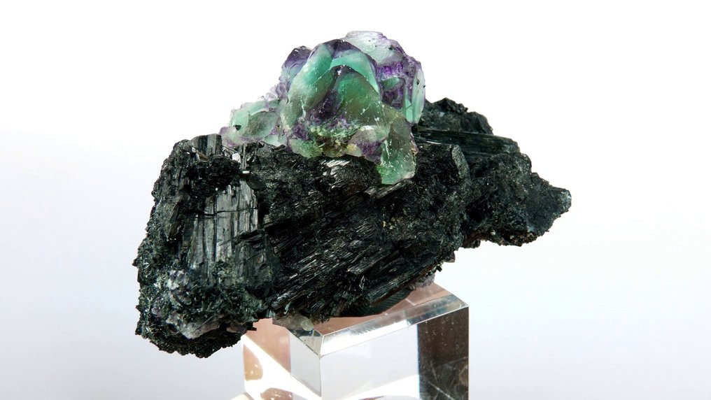 萤石，电气石（变种：黑电气石） - Erongo 山脉，Karibib，纳米比亚 - 高度: 6 cm - 宽度: 4 cm- 80 g #4.3