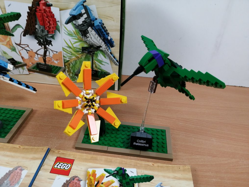 LEGO - Ideas - 21301 - Birds - 2010-2020 #3.2