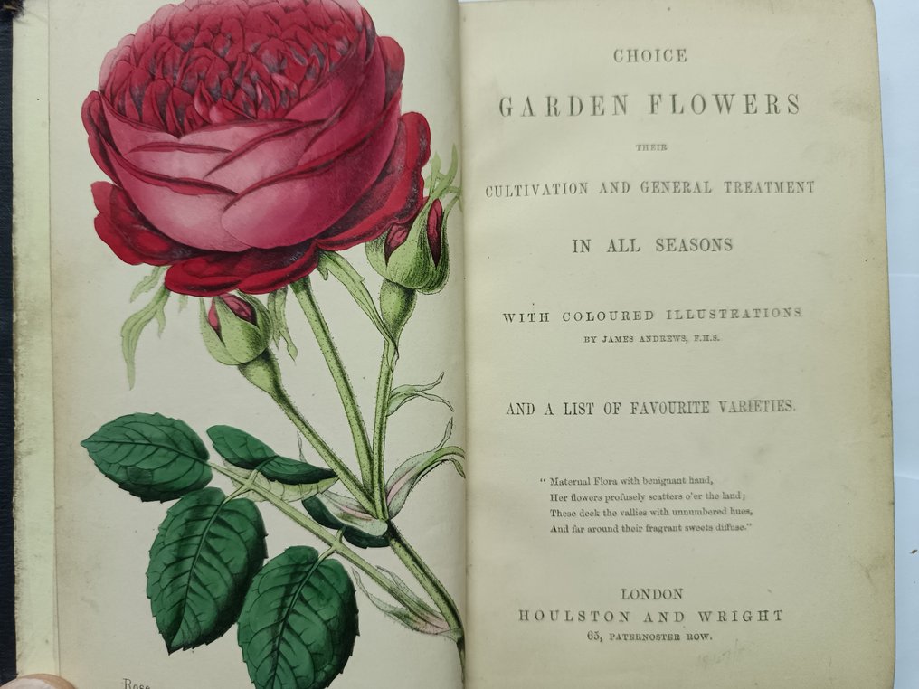 Anon/James Andrews - Choice Garden Flowers - 1848 #1.0