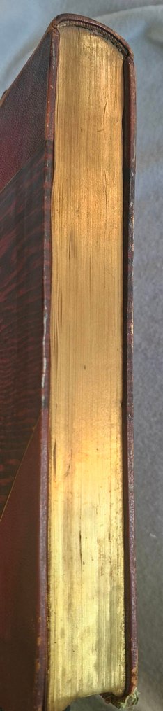 Jules Mesnard - Les Merveilles de l'Exposition Universelle de 1867 (Edition luxe, 2 tomes en 1) - 1867 #4.3