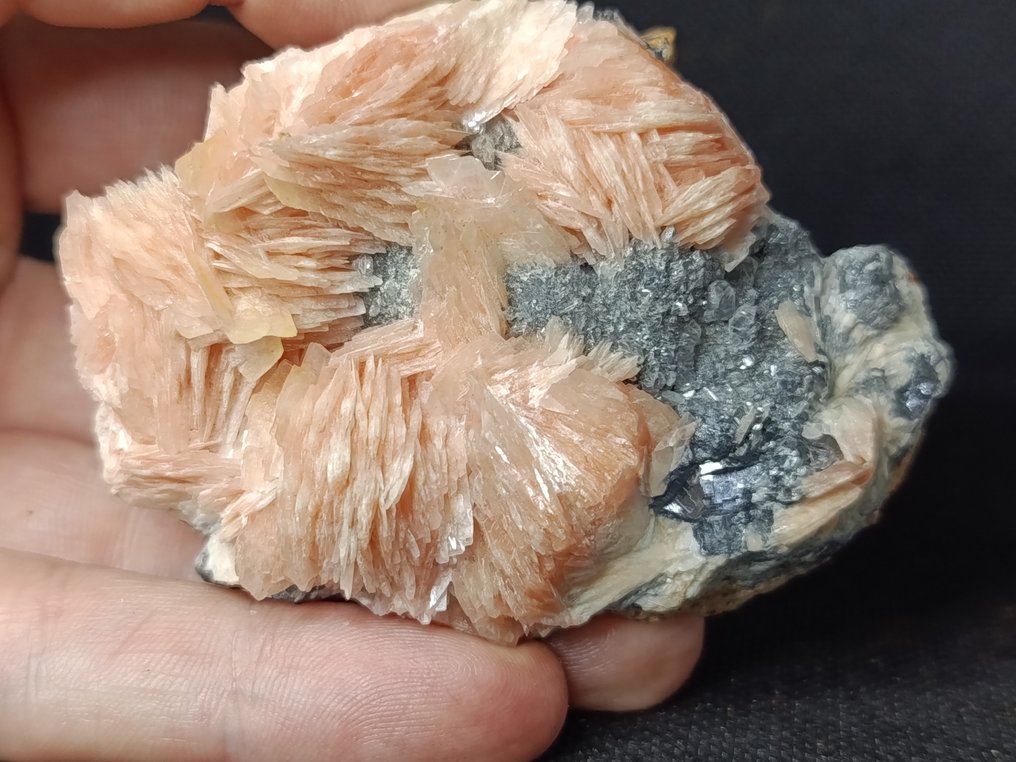 Cerussite on Galena and Baryte Crystals on matrix - Height: 3.9 cm - Width: 5.3 cm- 230 g - (1) #2.1