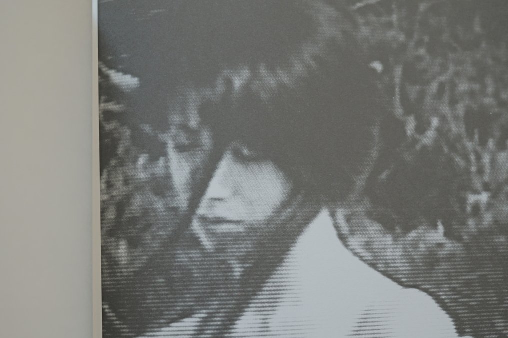 Harmony Korine - Pigxote - 2009-2009 #2.1