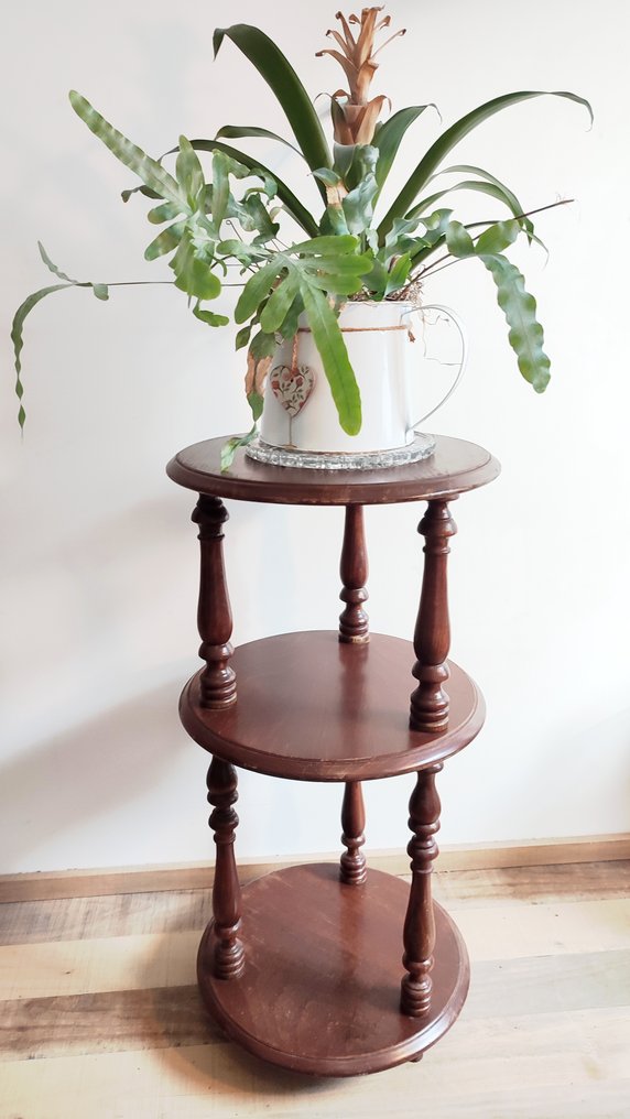 Bibliothèque - Table à plante - Librería - Madera, Nogal #1.0