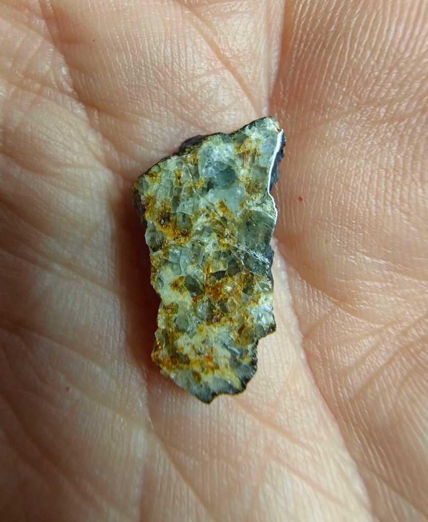 神秘的未归类Achondrite NWA 15915。 奇怪的陨石，没有保留价。 - 1.04 g - (1) #4.3