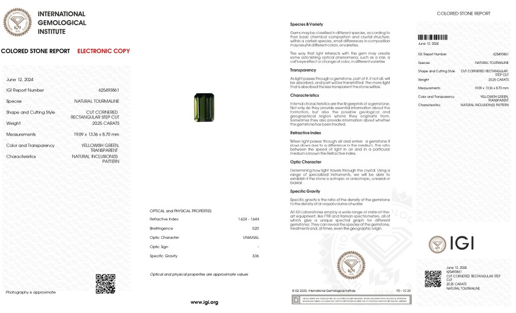 1 pcs  Πράσινο Τουρμαλίνης  - 20.25 ct - International Gemological Institute (IGI) #4.3