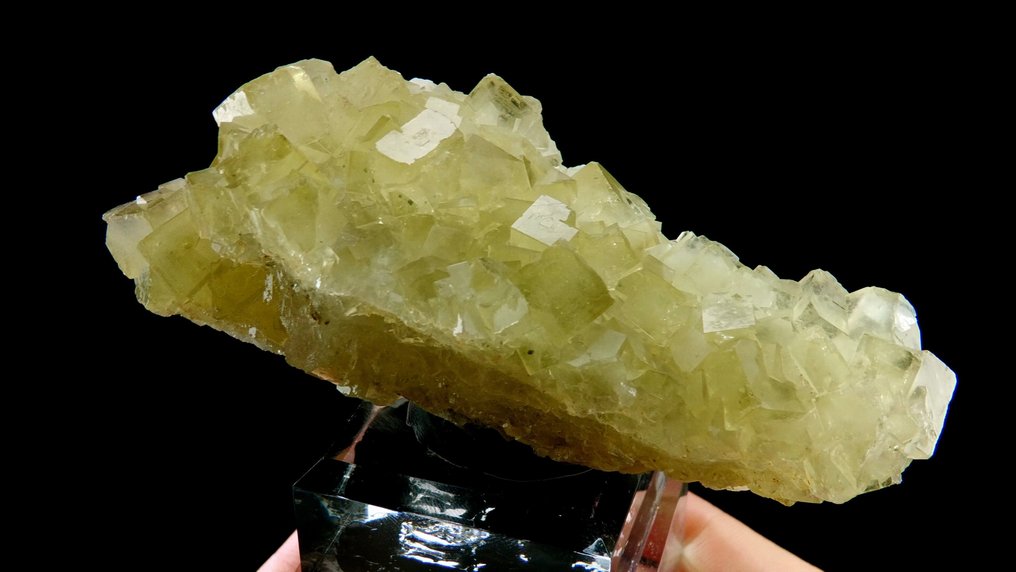 Φθορίτης (ανακρυσταλλωμένος ελεύθερος με χαλαζία) - Fontsante mine, Tanneron, Var, Γαλλία - Ύψος: 9.5 cm - Πλάτος: 4.2 cm- 199 g #3.2