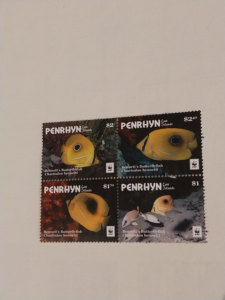 World  - Animal motif with many blocks on insert cards. #1.0