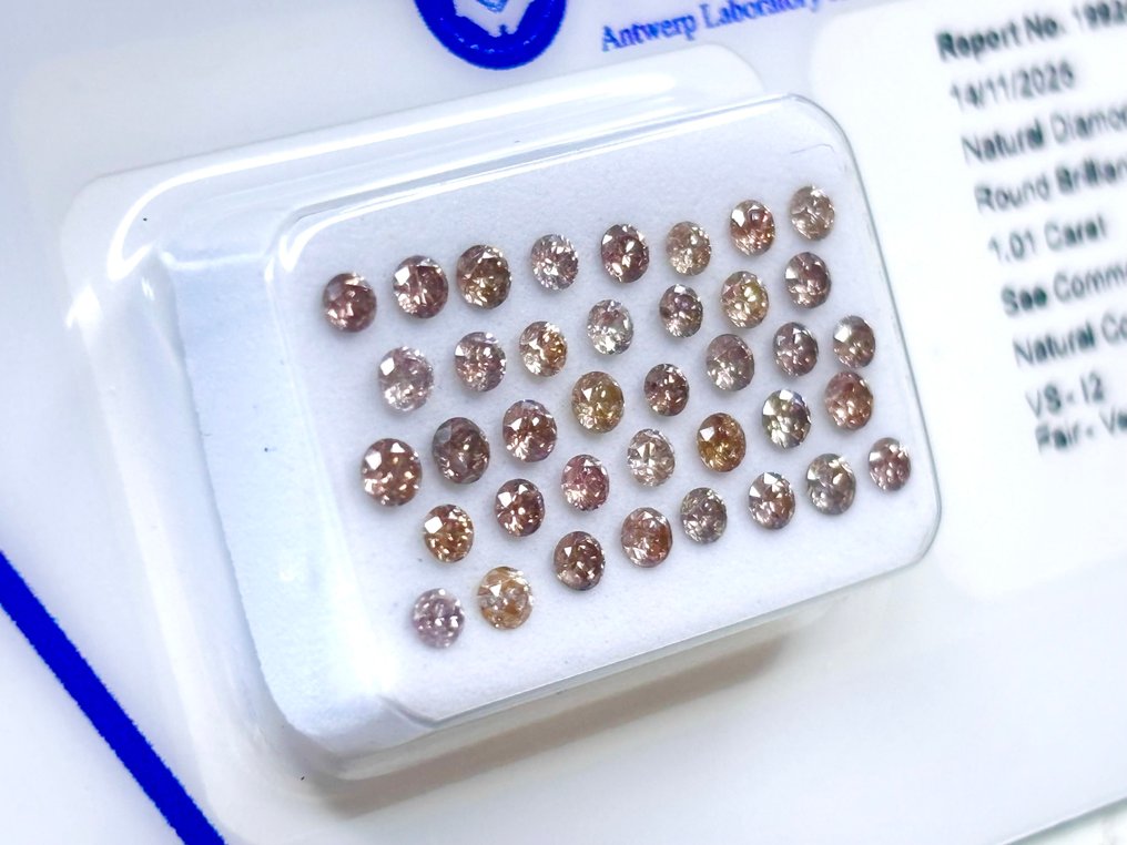 沒有保留價 - 38 pcs 鑽石  (天然彩色)  - 1.01 ct - 圓形 混褐色, 混粉色 - VS1, I2 - Antwerp Laboratory for Gemstone Testing (ALGT) #3.2
