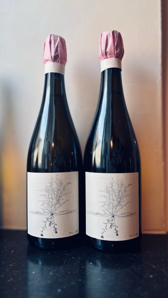 2020 Johannes Aufricht, Blanc de Blanc, Brut nature - konstanz - 2 Bouteilles (0,75 L) #1.0