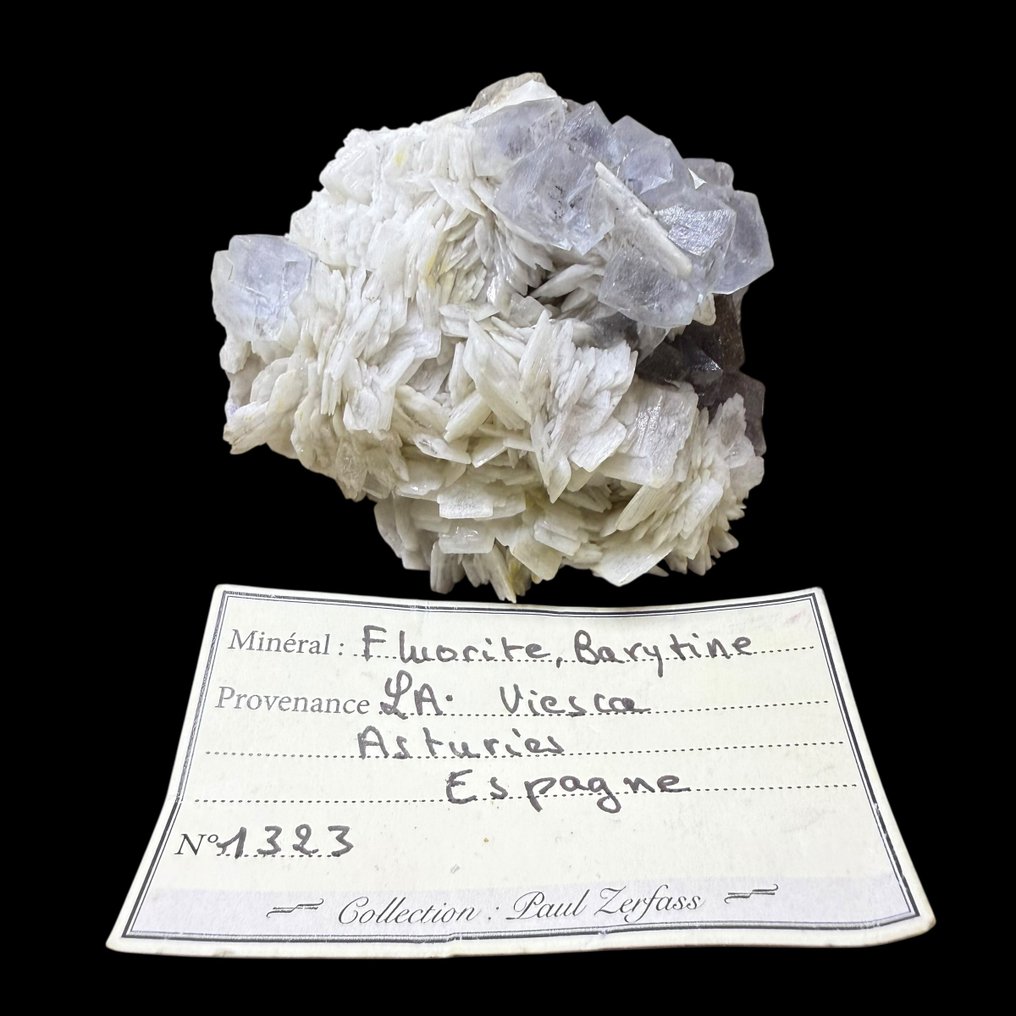 Fluorite blu fantasmata con barite Fluorescente, Collezione Paul Zerfass, con cartellino originale - Altezza: 7 cm - Larghezza: 6 cm- 185 g #1.0
