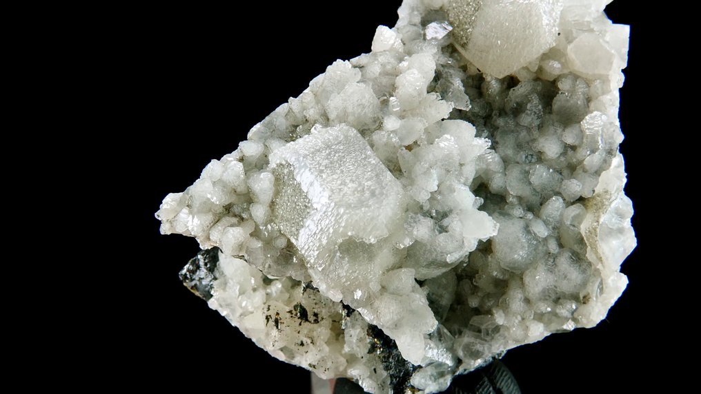 Ασβεστίτης Le Rivet, Peyrebrune, Tarn, Γαλλία - Ύψος: 5.7 cm - Πλάτος: 4.5 cm- 92 g #4.3