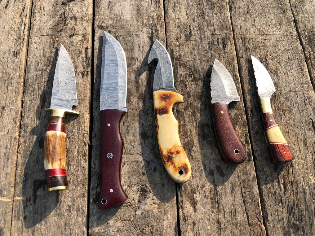 Coltello da cucina - Coltelli da taglio artigianali prestigiosi, in acciaio forgiato, con manici in corno di cervo, ossa, - Nord America - Custodia in pelle A36 #2.1