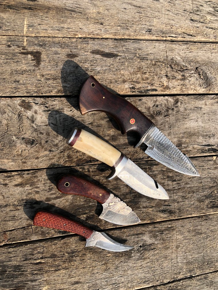 Coltello da cucina - Coltelli artigianali prestigiosi, in acciaio forgiato, osso, legno e manico raro - Nord America - Custodia in pelle A76 #2.1