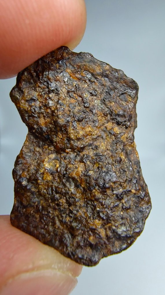 Lodranite Meteoriet. NWA 17904. De meteoriet is een geëmailde breccie. - 4.31 g #1.0