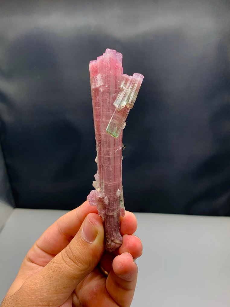 Tormalina Cristalli - Altezza: 120 mm - Larghezza: 30 mi- 49.38 g - (1) #3.2