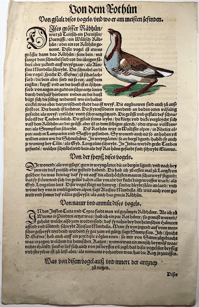 2 folios, Conrad Gesner [1516-1565], 2 woodcuts, Partridge, Turtle Dove, birds - 1557 #2.1