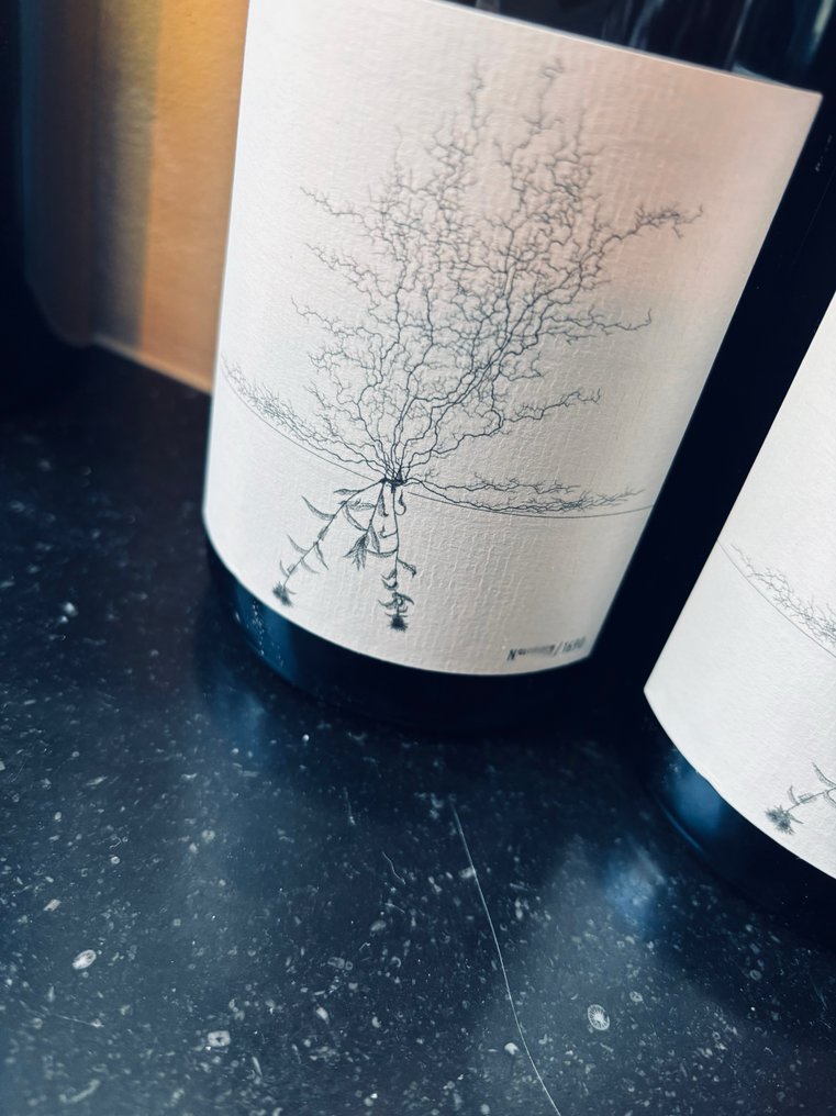 2020 Johannes Aufricht, Blanc de Blanc, Brut nature - konstanz - 2 Bouteilles (0,75 L) #1.0