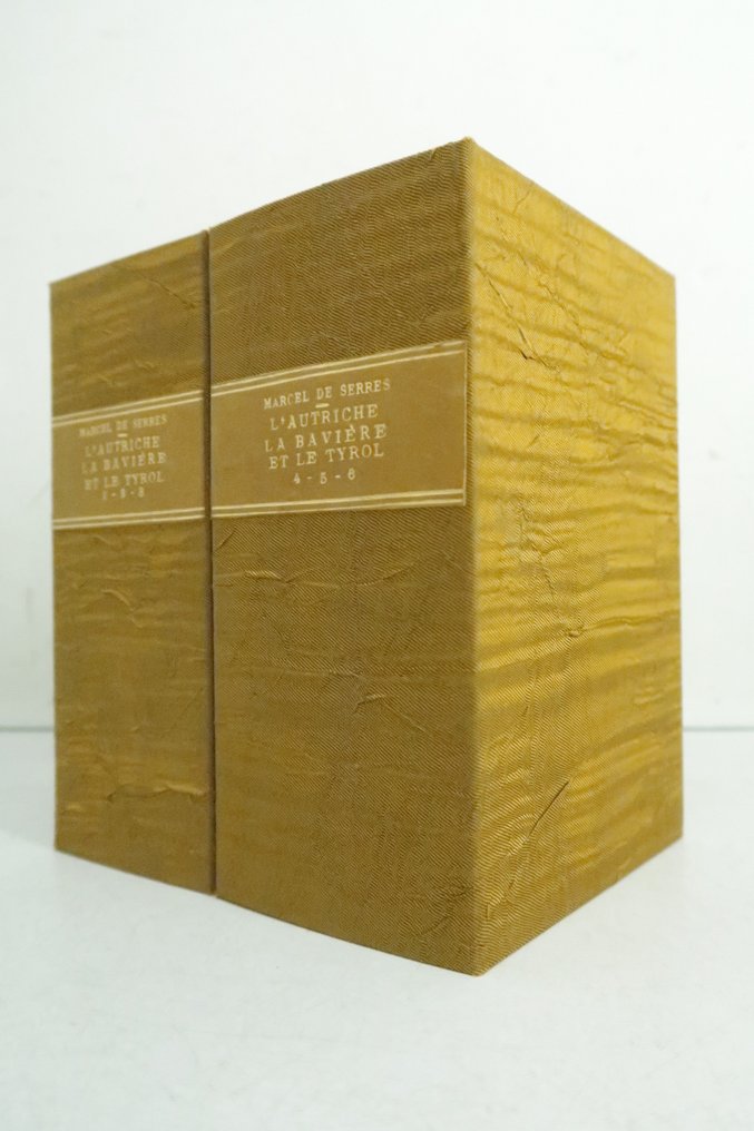 [Costumes, Autriche] Marcel de Serres - L'Autriche, ou mœurs, usages et costumes des habitans de cet empire [48 planches] - 1821 #3.2