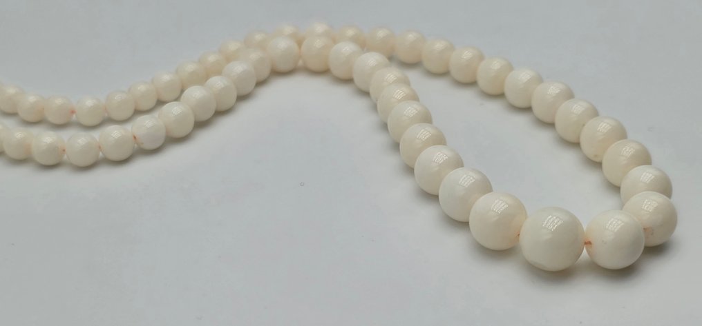 χωρίς τιμή ασφαλείας - Κολιέ - 18 καράτια Κίτρινο χρυσό Κοράλλι - Corallo missu 5 έως 10 mm #3.2