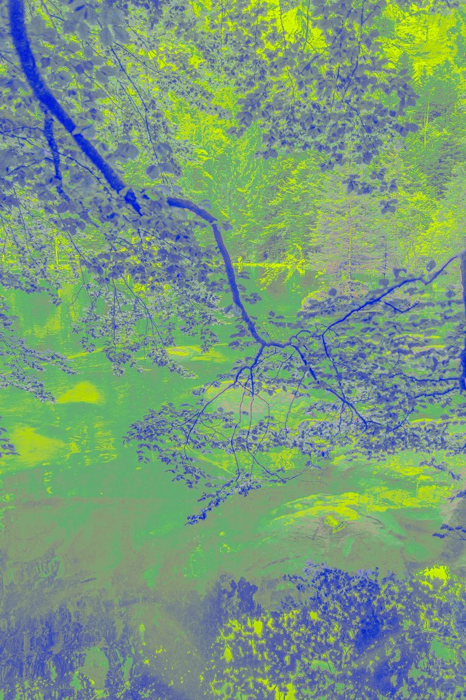 Jorge Omeñaca (XX) - Neon Blausee #1.0