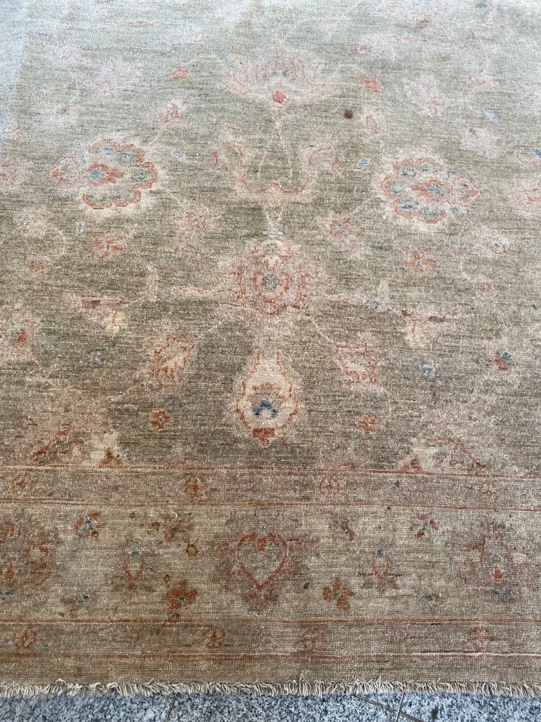 Ziegler - Szőnyeg - 250 cm - 170 cm #2.1