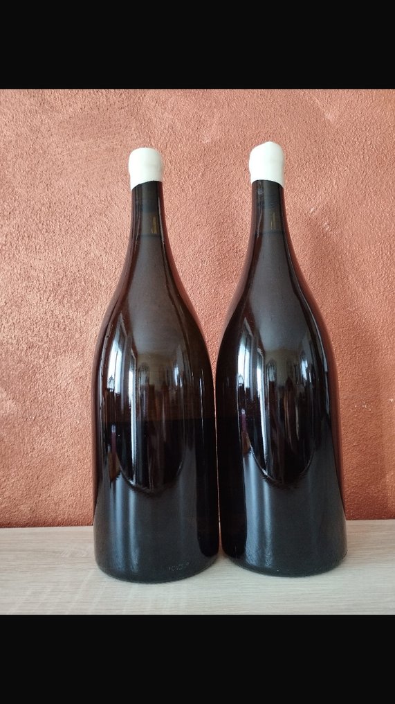 2021 Patrick Piuze, Chablis Terroir de Chablis - Chablis - 2 Magnumflasche (1,5 L) #1.0